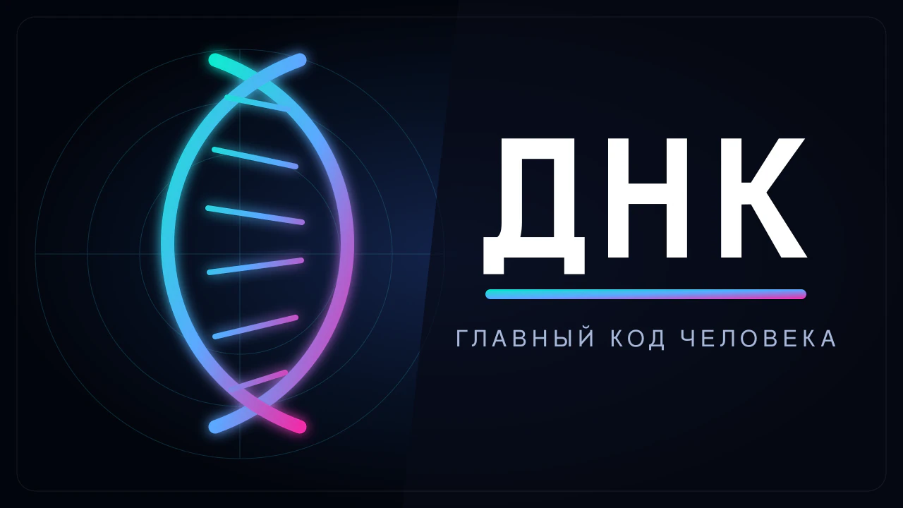 ДНК 13.08.2026
