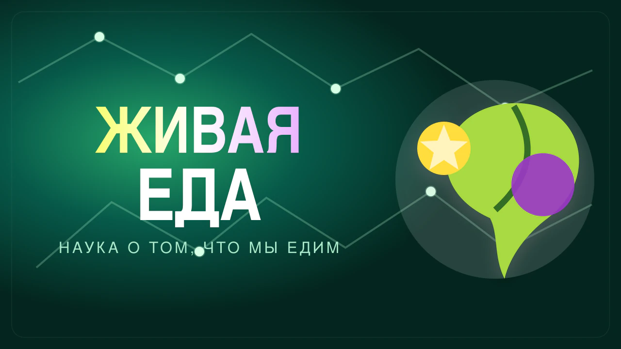 Живая еда 08.08.2026